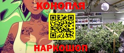 гидропоника Заволжье