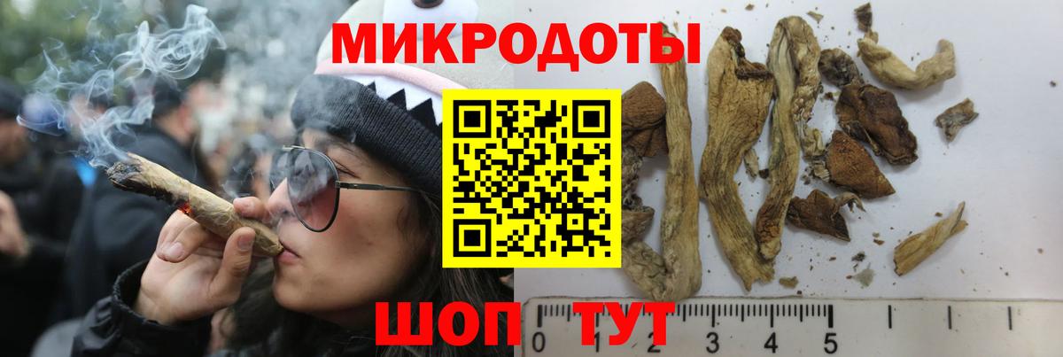 Галлюциногенные грибы GOLDEN TEACHER  Псилоцибиновые грибы мухоморы  Чернушка  Вход с VPN 